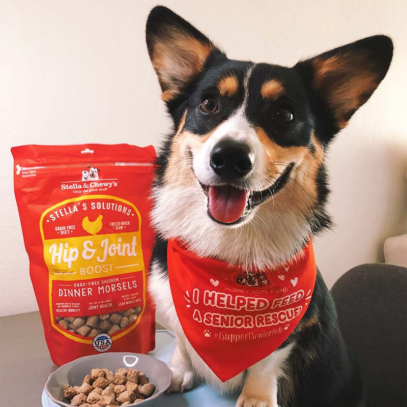 Stella & Chewy's Stella’s Solutions | Hip & Joint Boost Chicken Freeze-Dried Dog Food (13oz) - CreatureLand