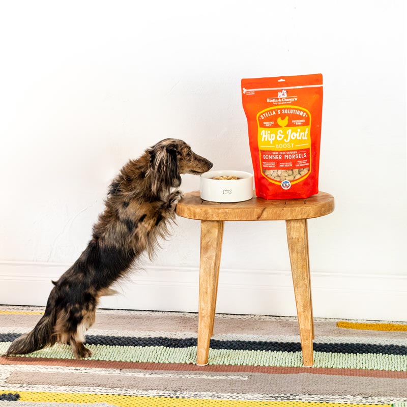 Stella & Chewy's Stella’s Solutions | Hip & Joint Boost Chicken Freeze-Dried Dog Food (13oz) - CreatureLand