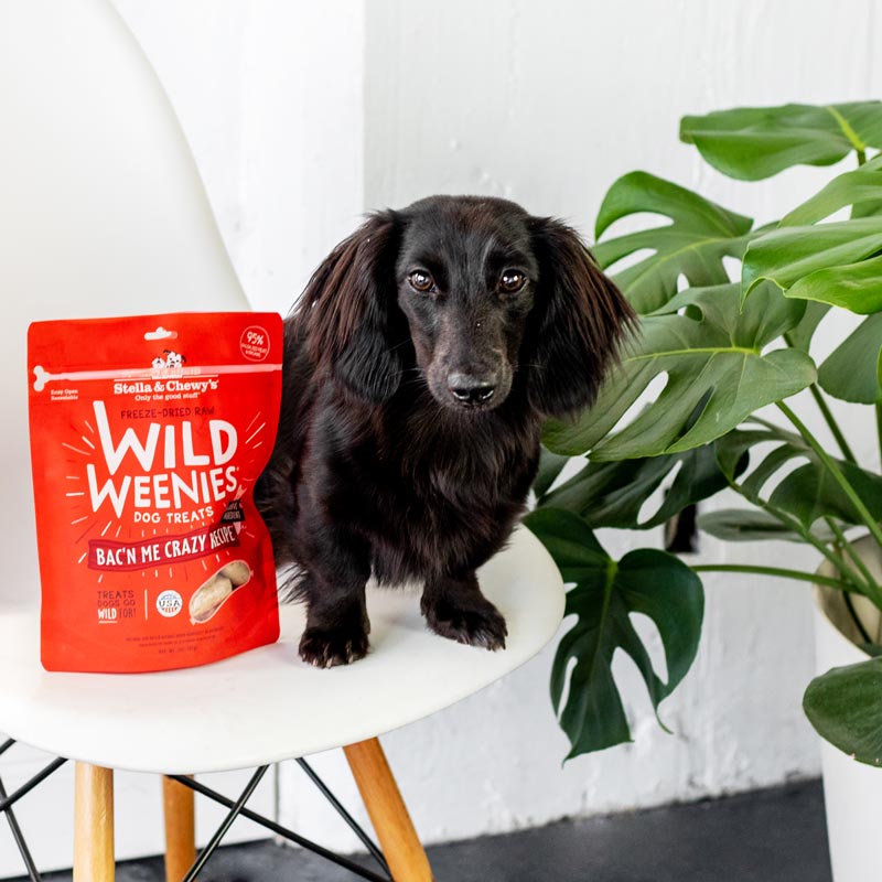 Stella & Chewy's Wild Weenies | Bac'n Me Crazy Freeze-Dried Raw Dog Treats (3oz) - CreatureLand