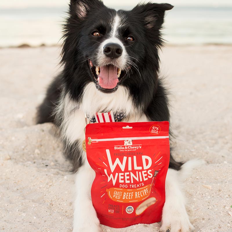 Stella & Chewy's Wild Weenies | Beef Freeze-Dried Raw Dog Treats (3.25oz) - CreatureLand