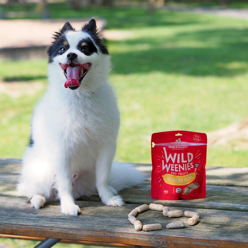 Stella & Chewy's Wild Weenies | Chicken Freeze-Dried Raw Dog Treats (3.25oz) - CreatureLand