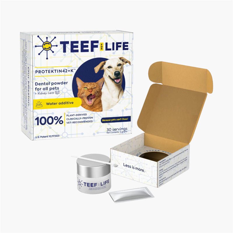 TEEF! Protektin42+K™ Dental Kit: Powder Water Additive for All Pets + Kidney Care - CreatureLand