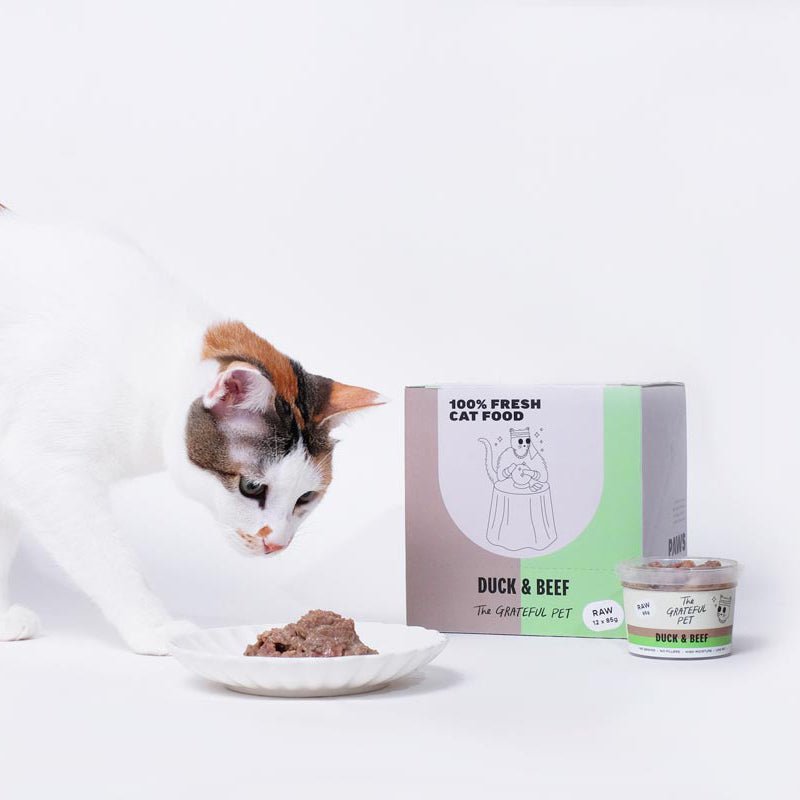 The Grateful Pet Cat Raw Food | Duck & Beef - 1.02kg (12 x 85g tubs) - CreatureLand
