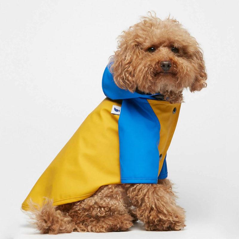 The Painter's Wife Sarah Pet Raincoat - Yellow Body Blue Hood/Sleeve - CreatureLand