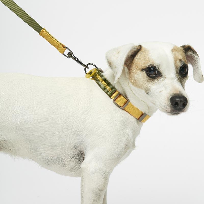 The Painter's Wife Sonia Collar - Mimosa & Lime - CreatureLand