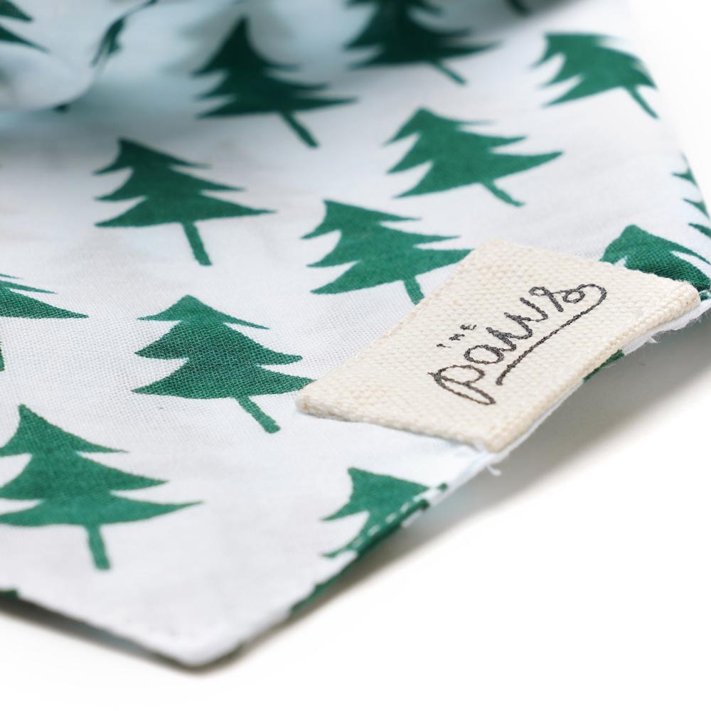 The Paws Bellingham Bandana - CreatureLand