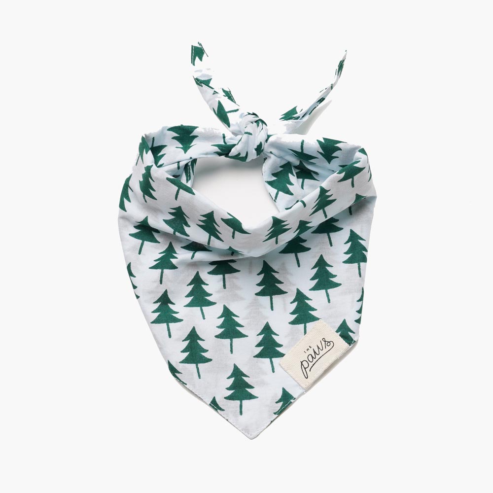 The Paws Bellingham Bandana - CreatureLand