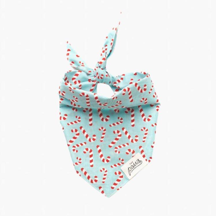 The Paws Candyland Bandana | Blue - CreatureLand