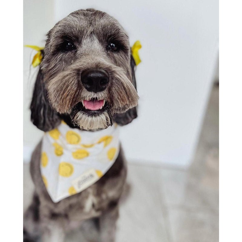 The Paws Elsie Bandana - CreatureLand