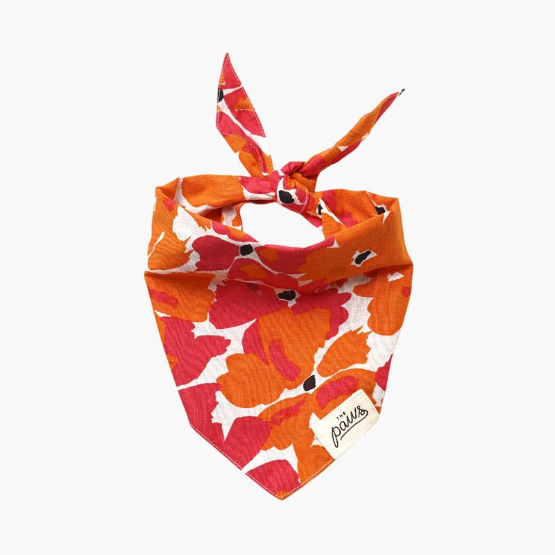 The Paws Fruit Punch Bandana - CreatureLand