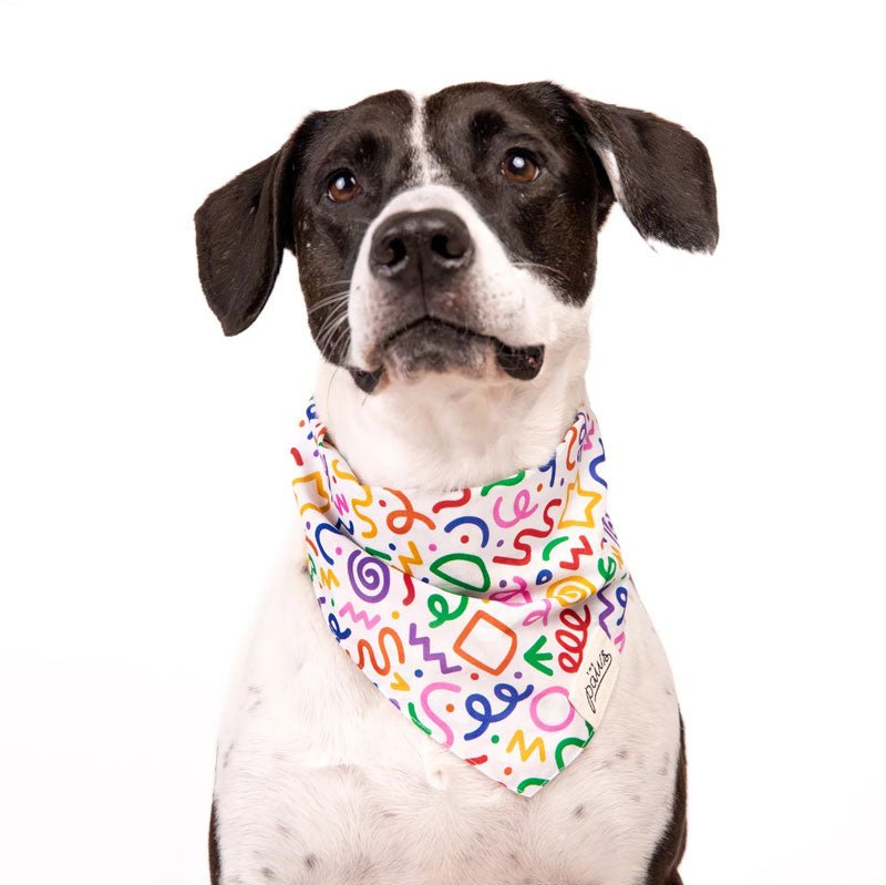 The Paws Fun Bandana - CreatureLand