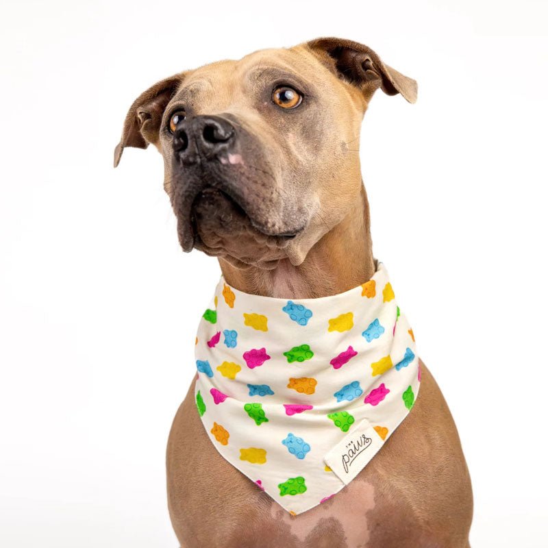 The Paws Gummi Bandana - CreatureLand