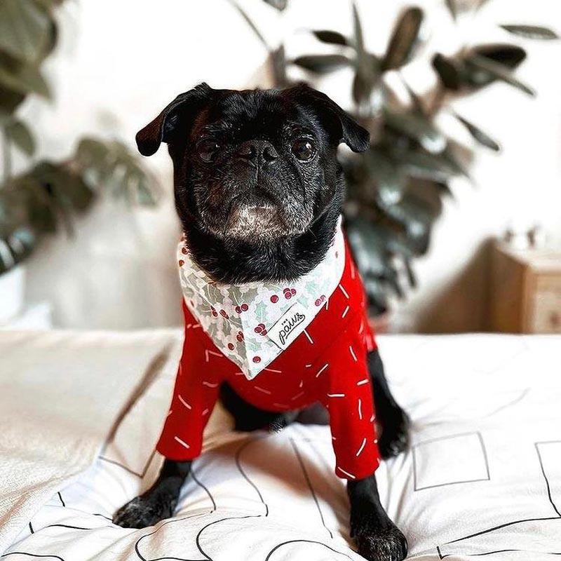 The Paws Holly Berry Bandana - CreatureLand