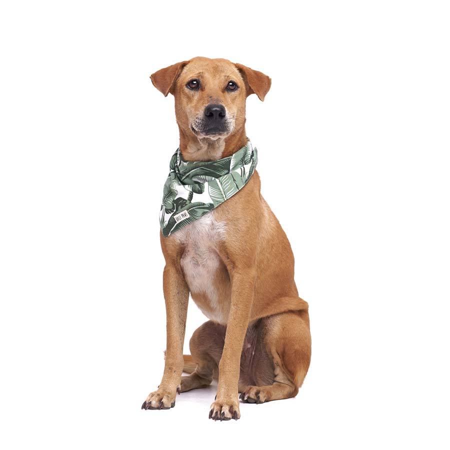 The Paws Into The Wild Bandana - CreatureLand