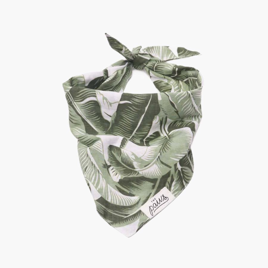 The Paws Into The Wild Bandana - CreatureLand