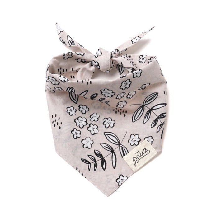 The Paws Latte Bandana - CreatureLand