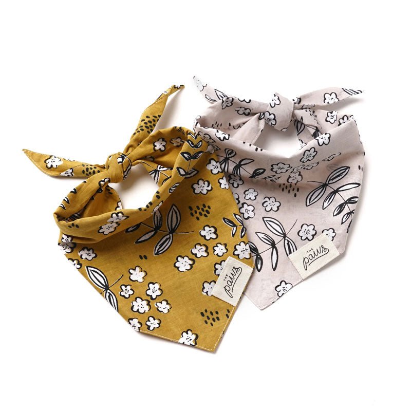The Paws Latte Bandana - CreatureLand