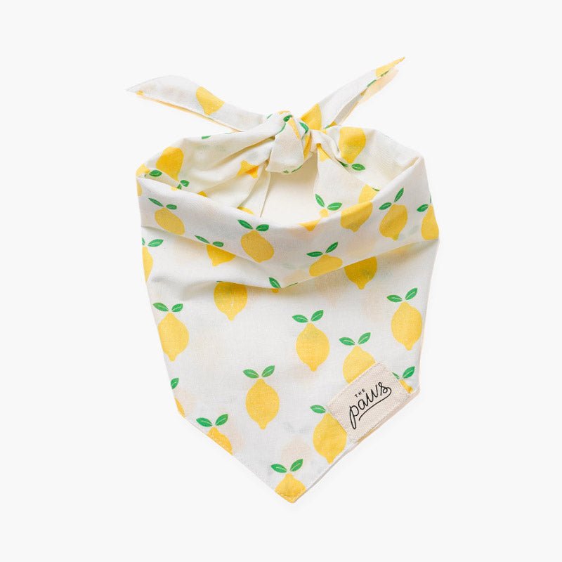 The Paws Lemoni Bandana - CreatureLand