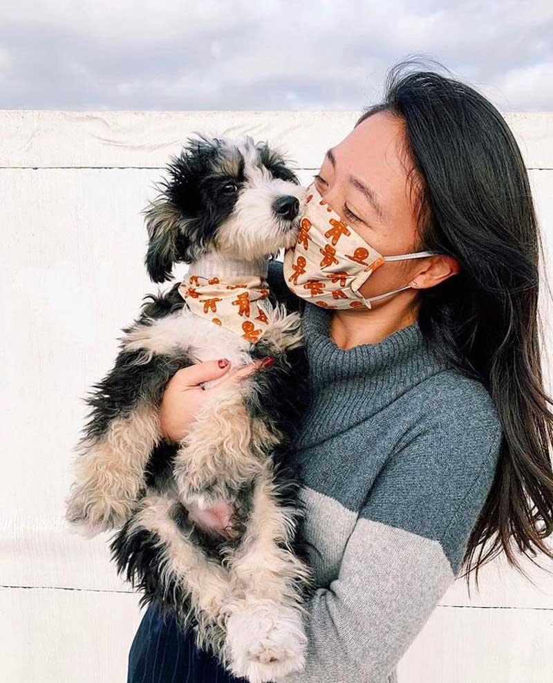 The Paws Little Ginger Bandana - CreatureLand
