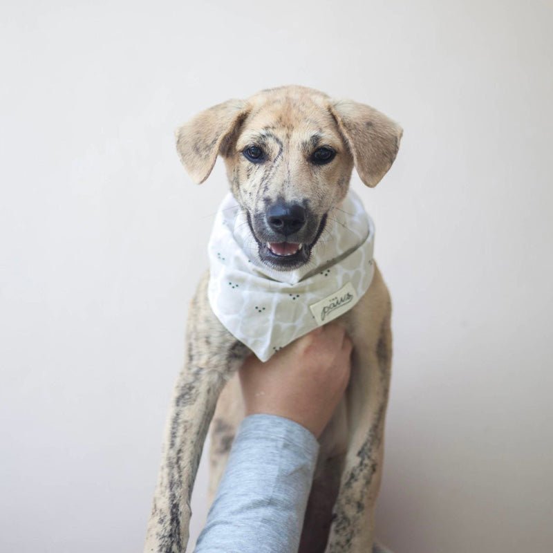 The Paws Mallow Bandana - CreatureLand
