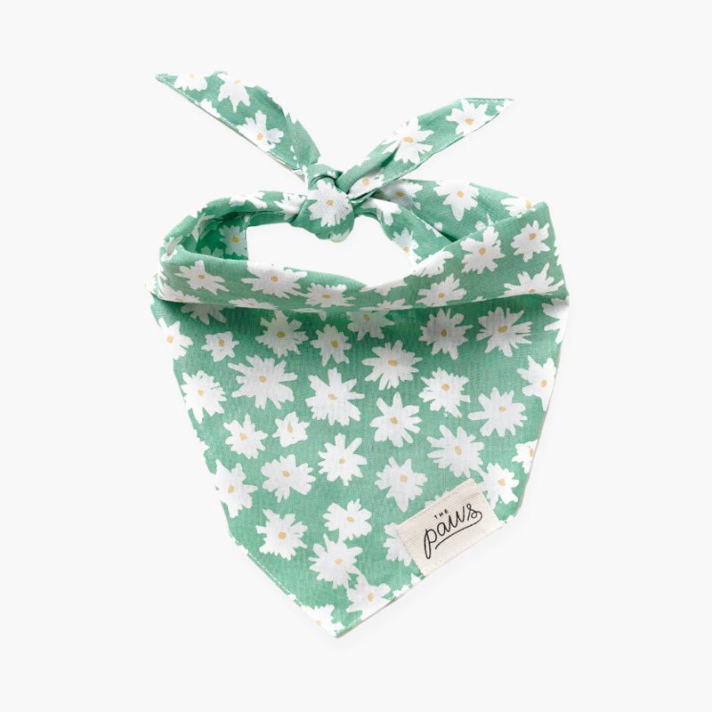 The Paws Meadow Bandana - CreatureLand