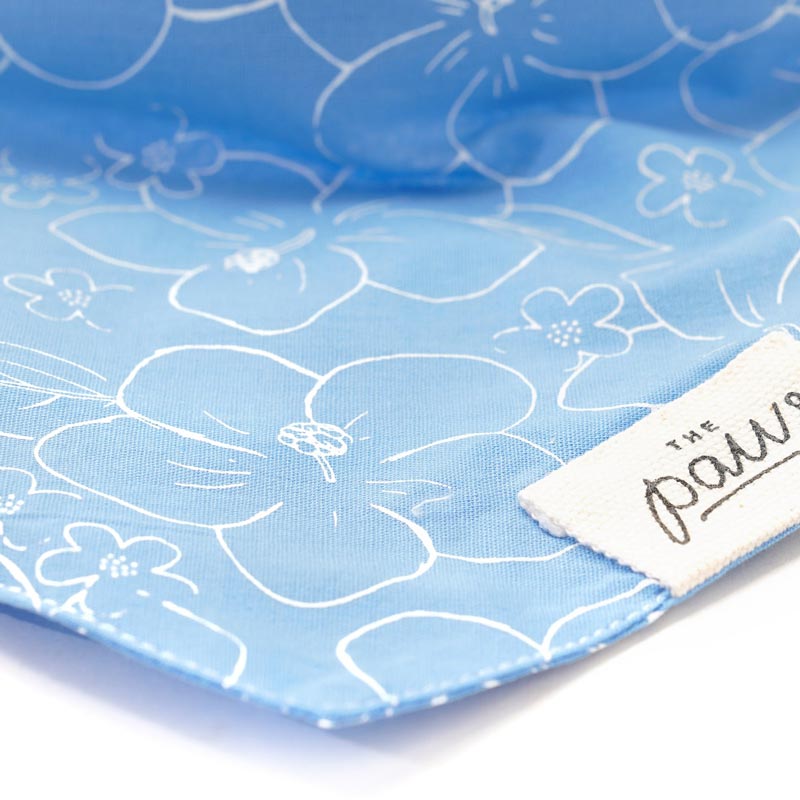 The Paws Paihia Bandana - CreatureLand