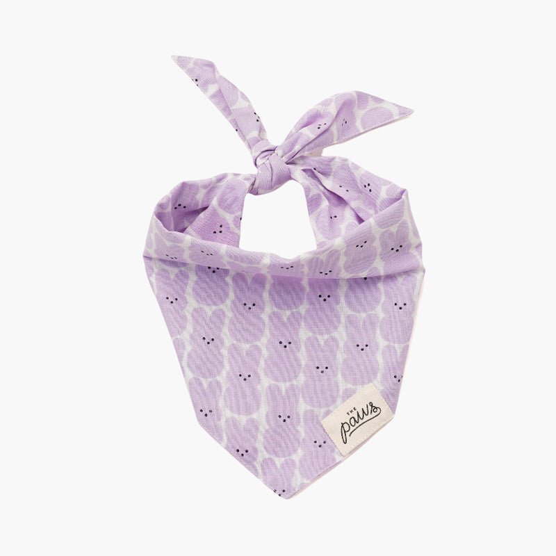 The Paws Peep Bandana - CreatureLand