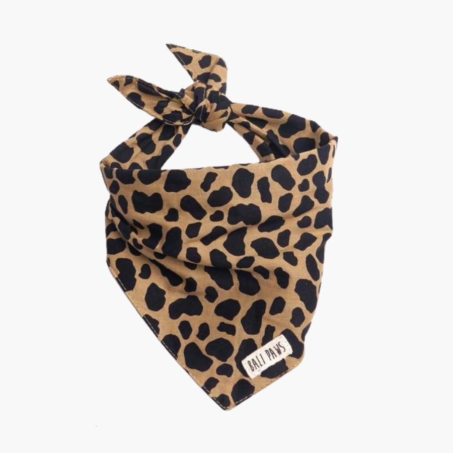 The Paws Roaring Jungle Bandana - CreatureLand