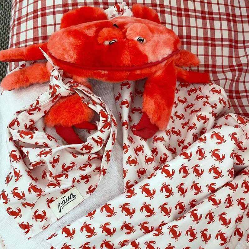 The Paws Snappy Bandana - CreatureLand