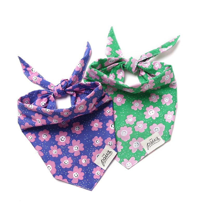 The Paws Stardust Bandana - CreatureLand