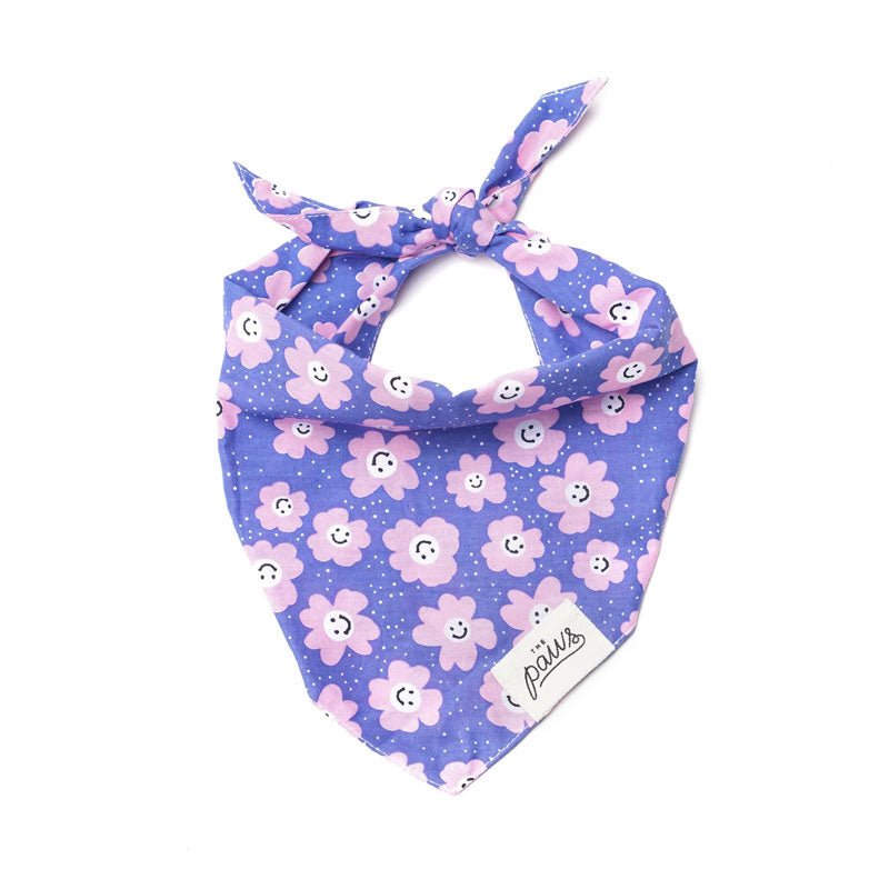 The Paws Stardust Bandana - CreatureLand