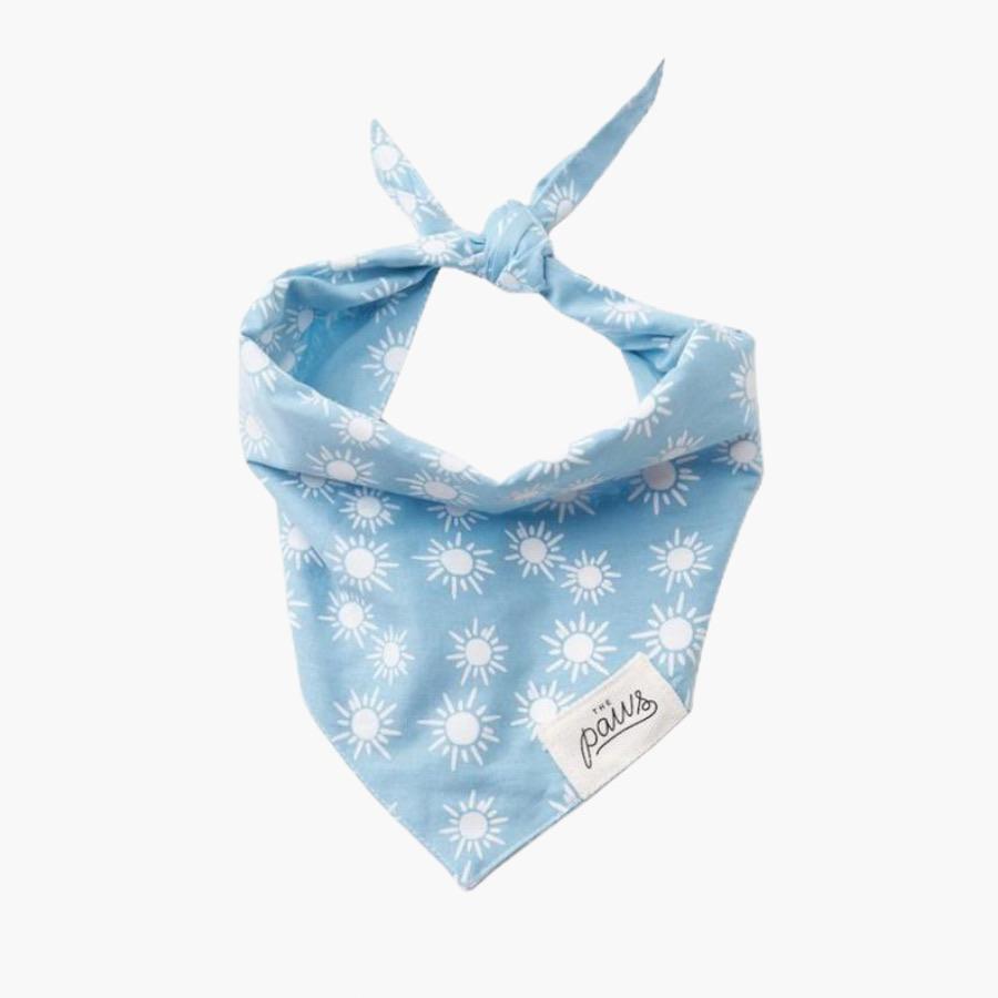 The Paws Sunday Bandana - CreatureLand