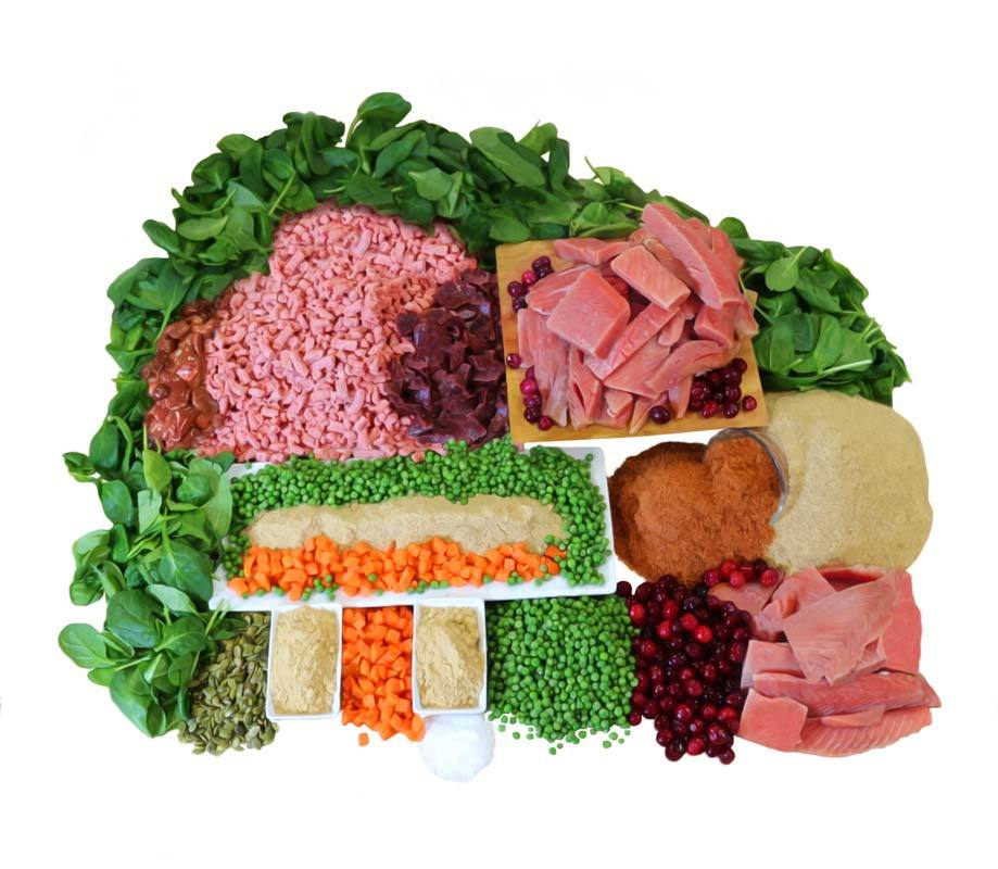 The Simple Food Project Freeze Dried Raw Dog Food - Beef & Salmon - CreatureLand