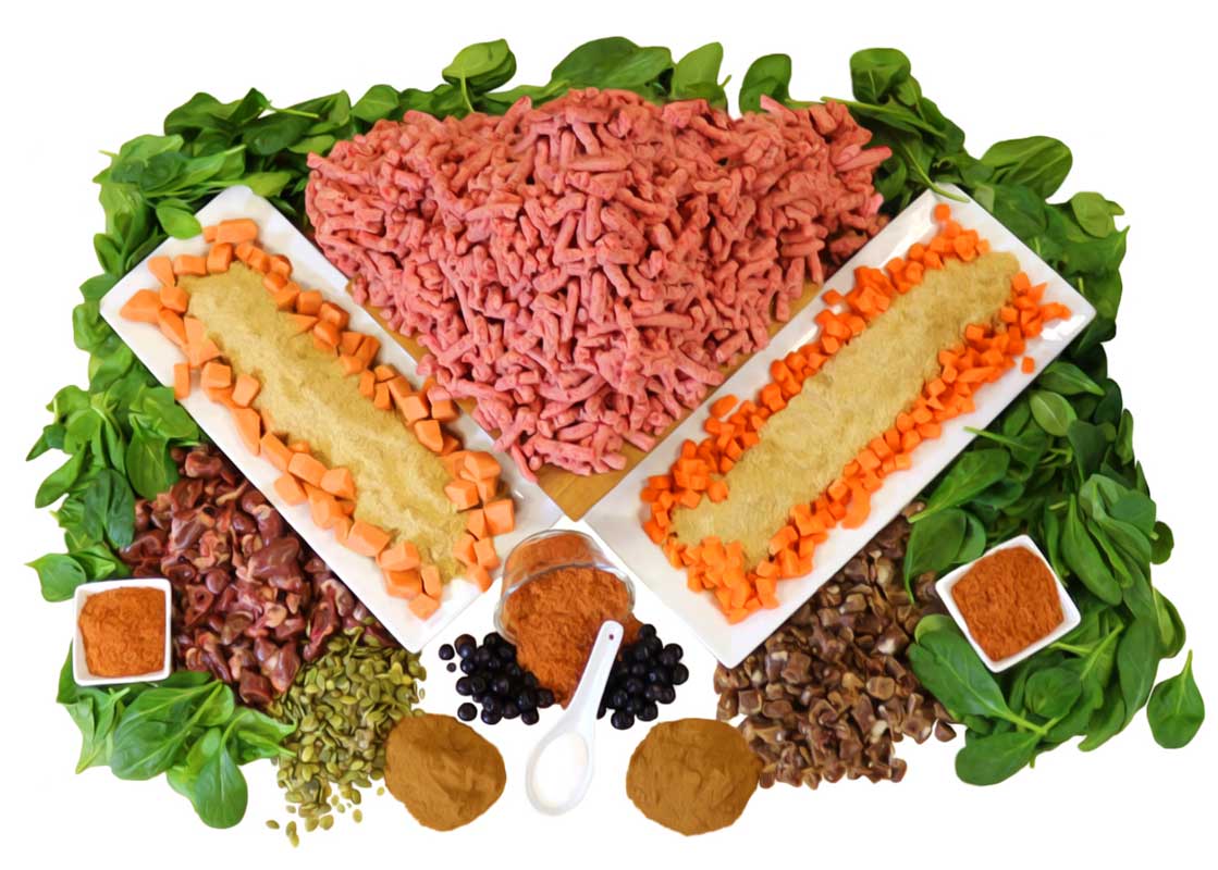 The Simple Food Project Freeze Dried Raw Dog Food - Chicken & Turkey - CreatureLand