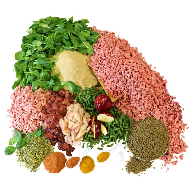 The Simple Food Project Freeze Dried Raw Dog Food - Duck & Trout - CreatureLand