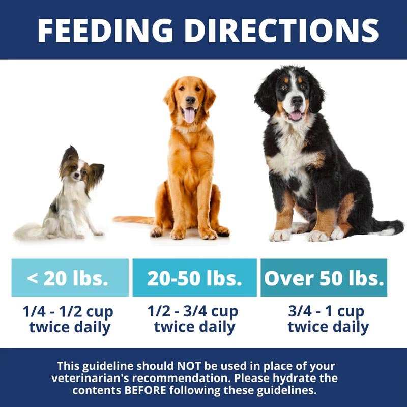 Under The Weather Chicken, Rice, & Bone Broth Freeze Dried Bland Diet For Dogs - CreatureLand