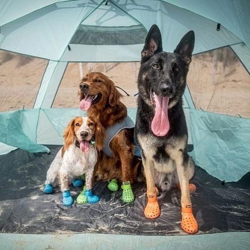 wagwear WagWellies® Mojave Dog Boots - CreatureLand