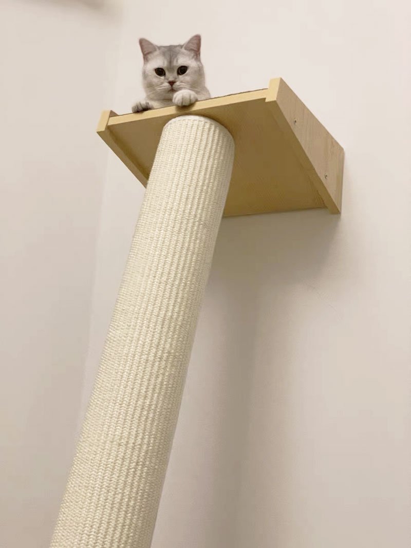 Wakupet Pillar Cat Tree - CreatureLand