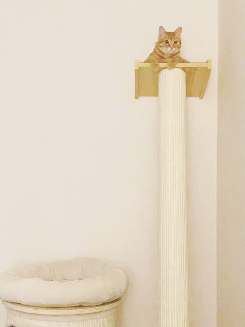 Wakupet Pillar Cat Tree - CreatureLand