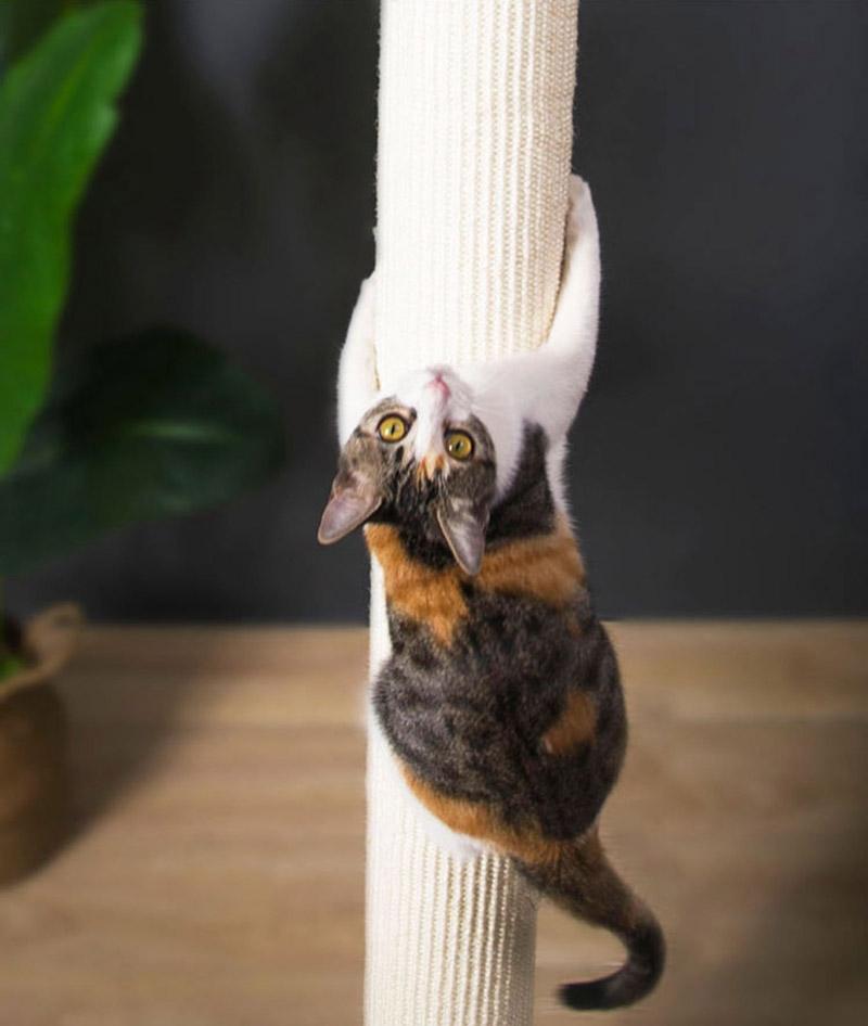 Wakupet Pillar Cat Tree - CreatureLand