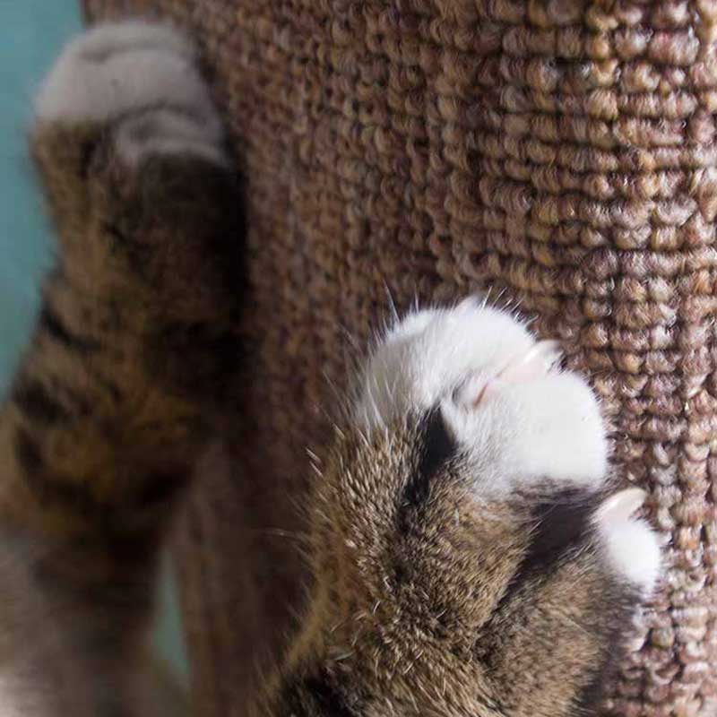 Wakupet Sofa End Cat Scratcher - CreatureLand