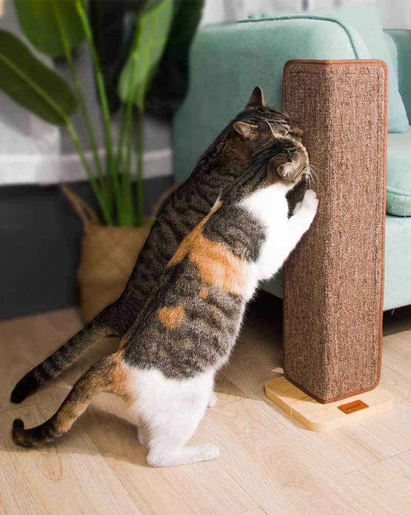 Wakupet Sofa End Cat Scratcher - CreatureLand