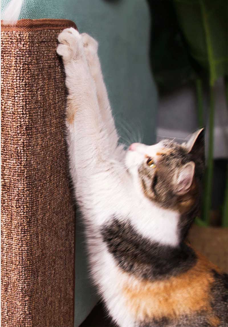 Wakupet Sofa End Cat Scratcher - CreatureLand