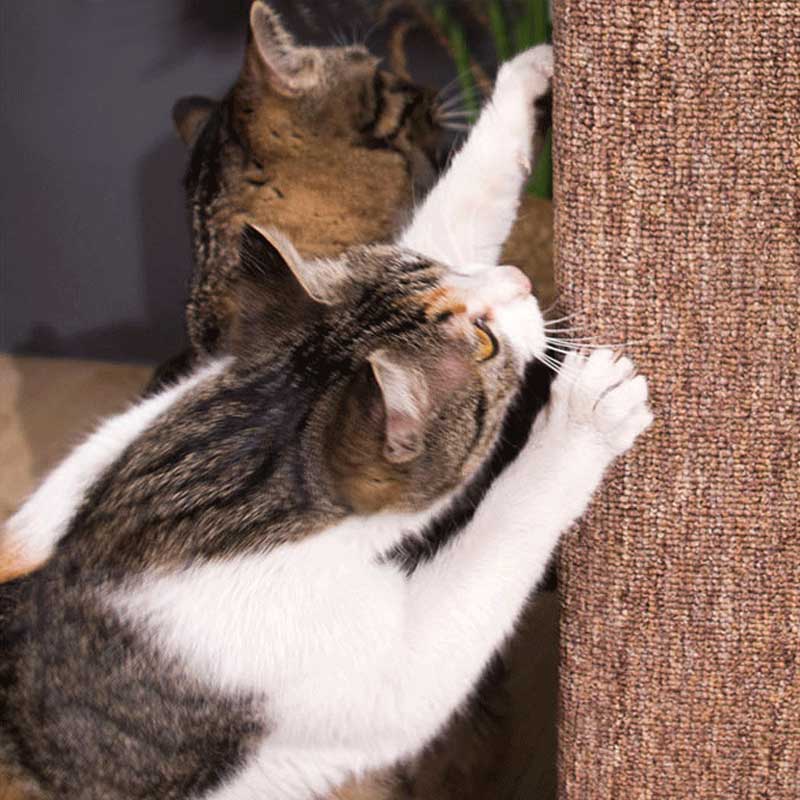 Wakupet Sofa End Cat Scratcher - CreatureLand