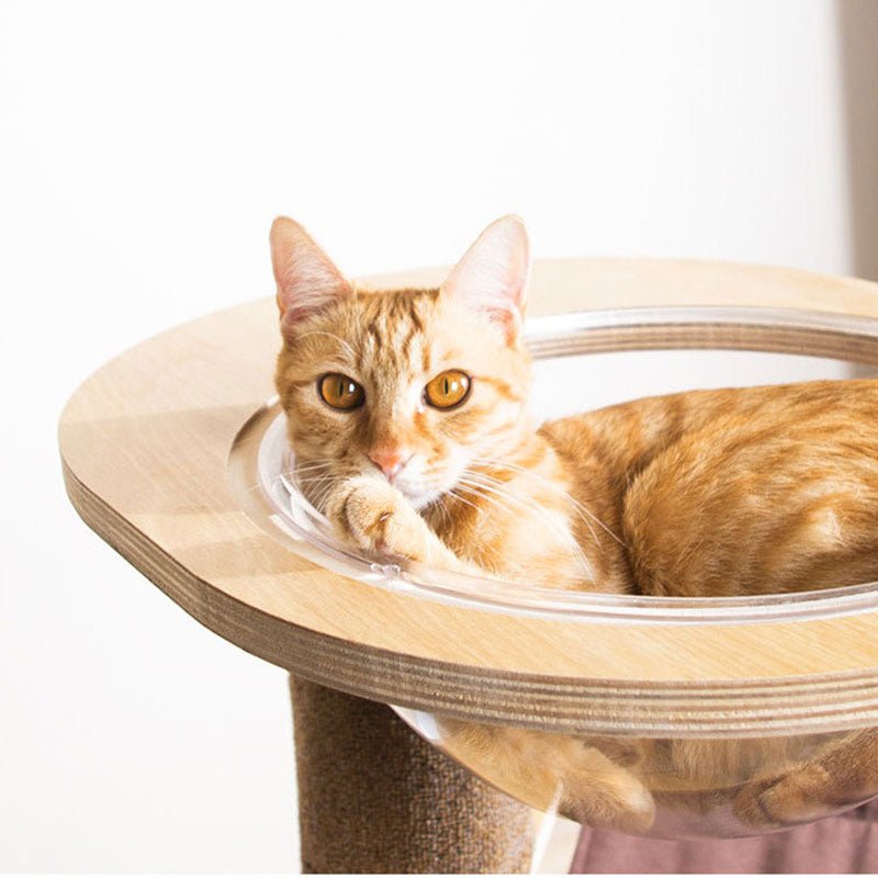Wakupet Space Bowl Cat Tree with Hammock (2 Colours) - CreatureLand