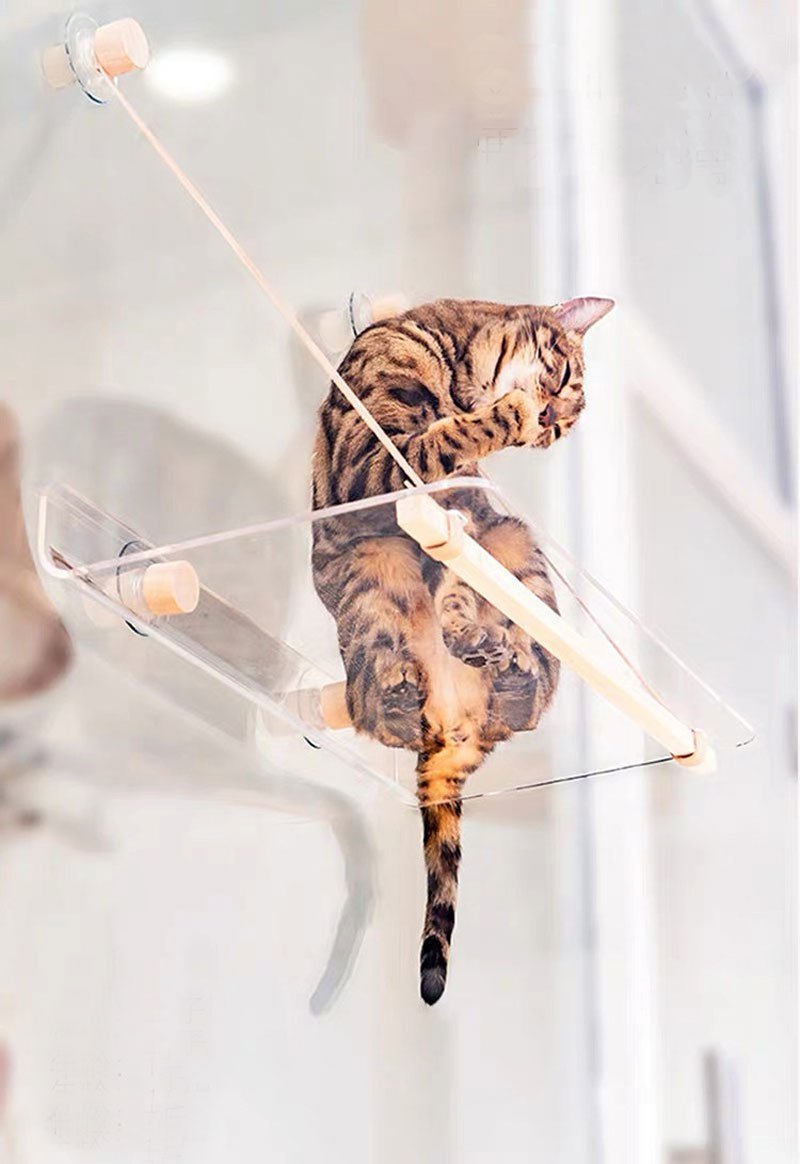 Wakupet Transparent Air Hammock - CreatureLand