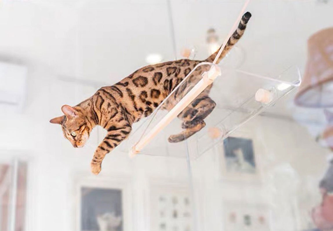 Wakupet Transparent Air Hammock - CreatureLand