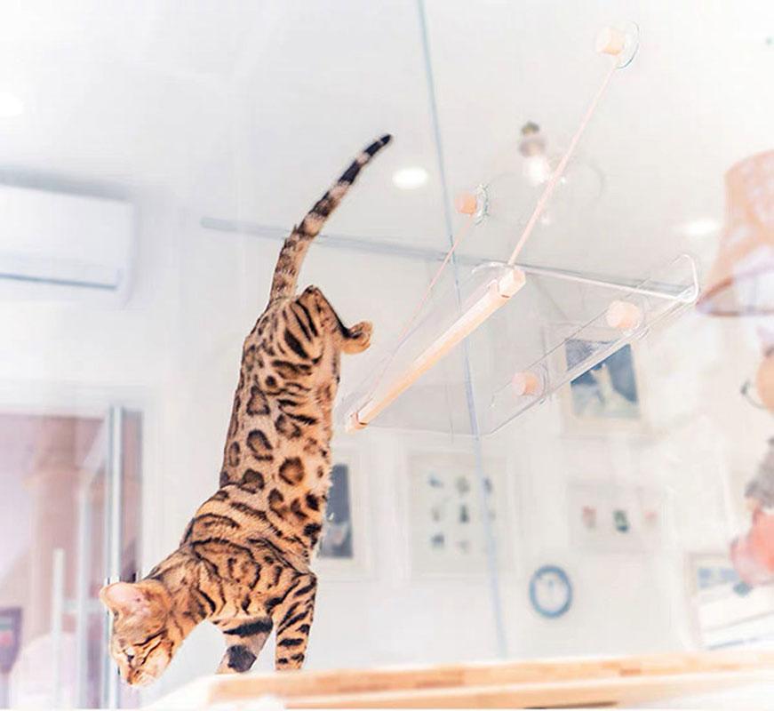 Wakupet Transparent Air Hammock - CreatureLand