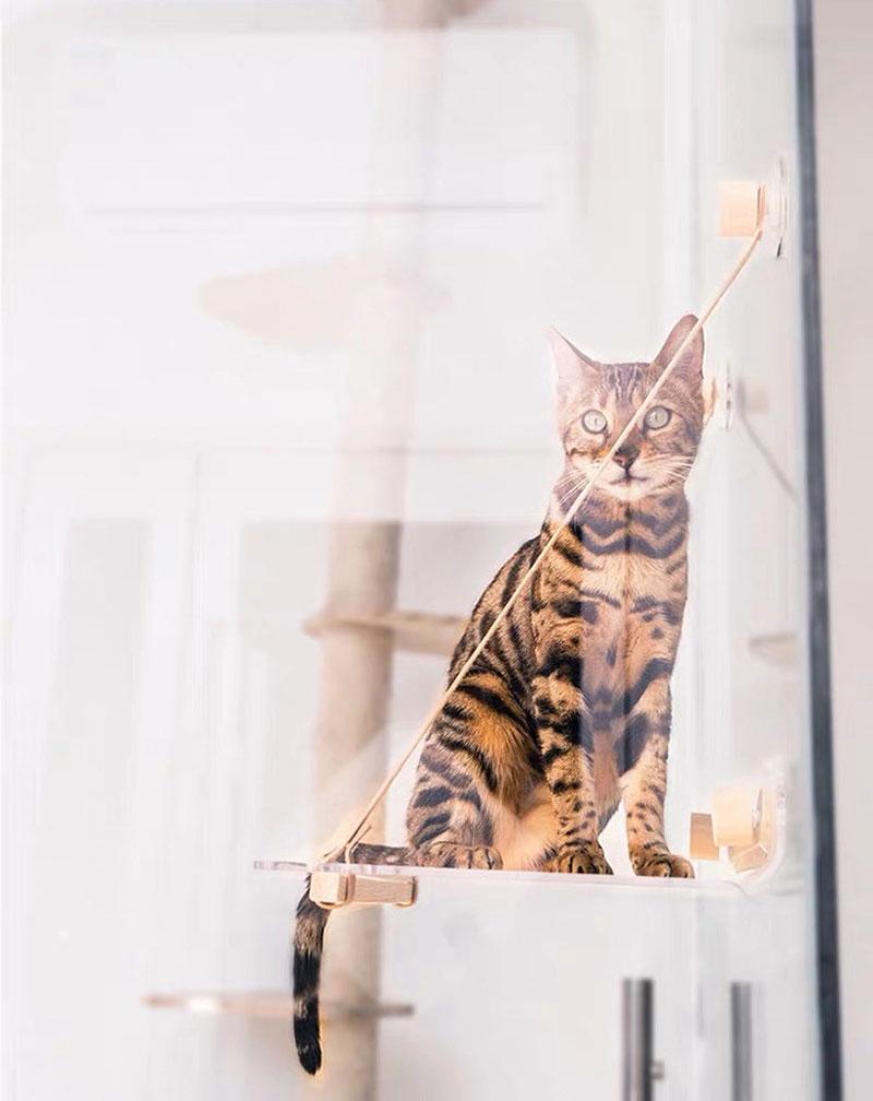 Wakupet Transparent Air Hammock - CreatureLand