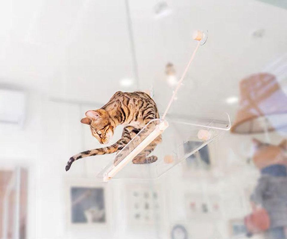 Wakupet Transparent Air Hammock - CreatureLand